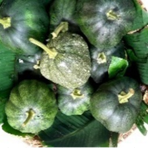 flash